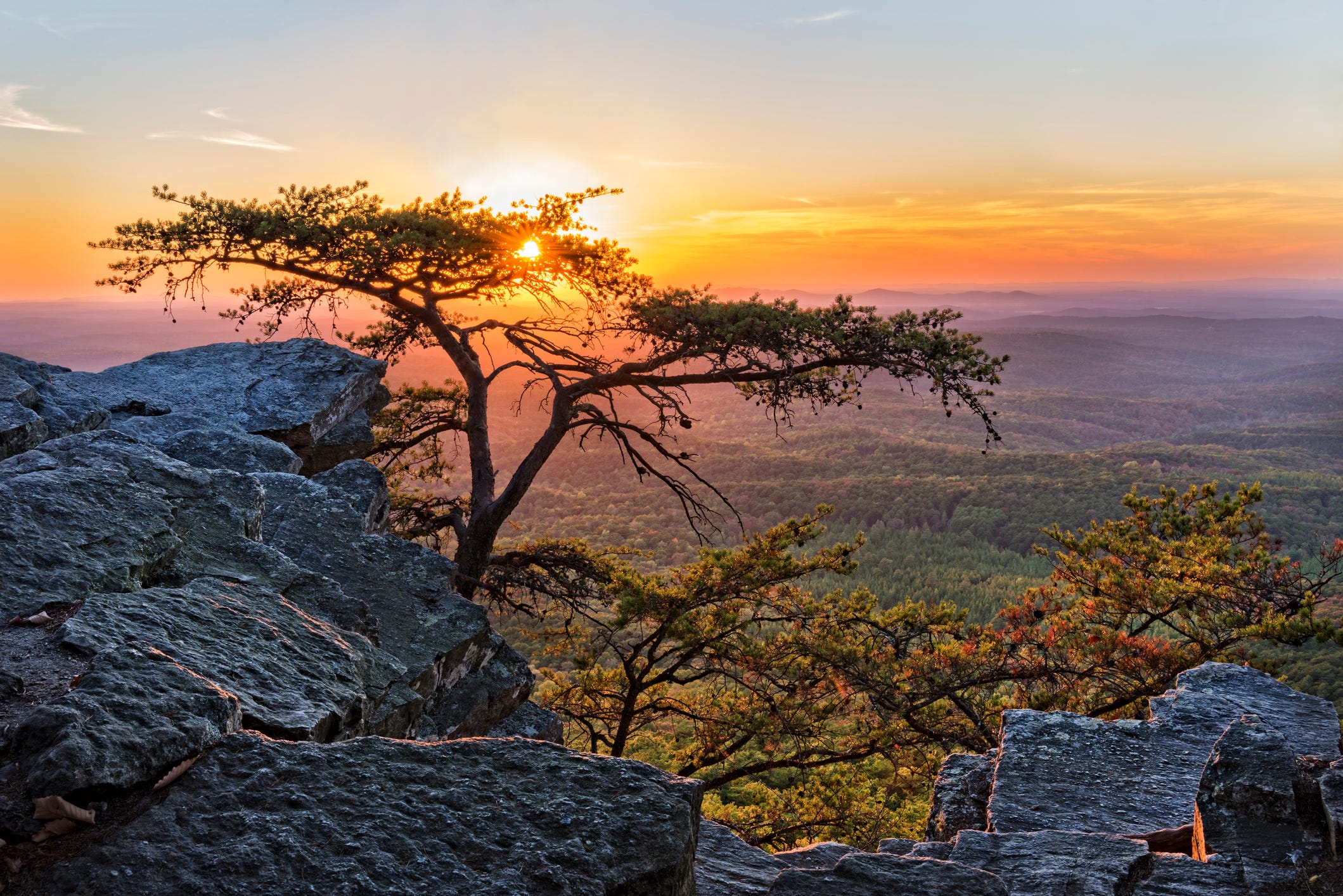 <p><a href="https://alabamanewscenter.com/2023/05/12/5-of-alabamas-most-beautiful-places/">Alabama News Center</a> named Cheaha Mountain State Park one of the top five most beautiful places in Alabama.</p>