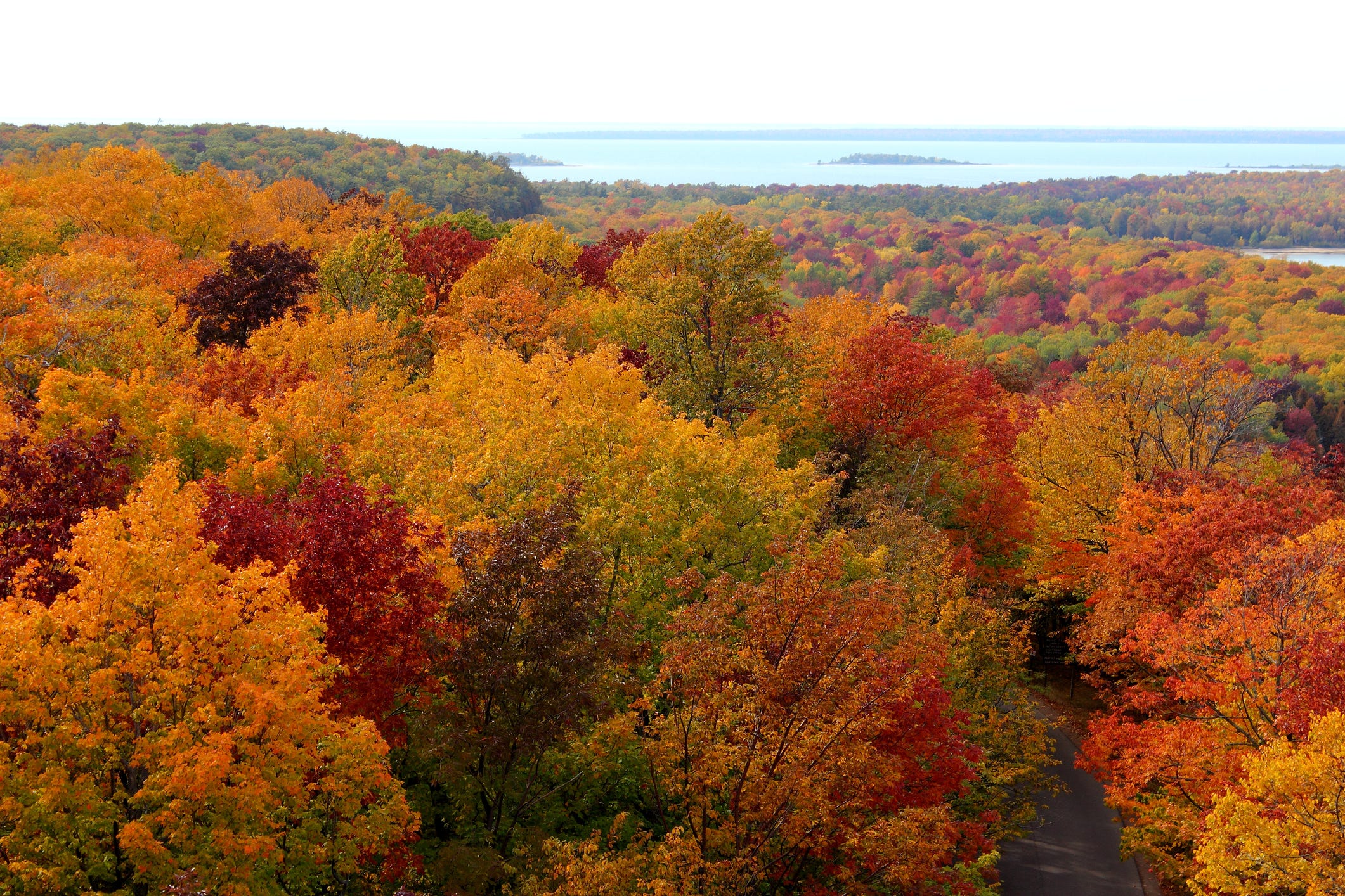 <p>Door County was named the best destination for fall foliage in 2019 by <a href="https://www.10best.com/awards/travel/best-destination-for-fall-foliage-2019/">USA Today</a>, and one of the 10 best places to see fall foliage without the crowds by <a href="https://www.tripstodiscover.com/best-places-to-see-fall-foliage-without-the-crowds/">Trips to Discover</a>.</p>
