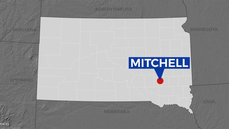 Former Mitchell legion baseball player enters plea deal