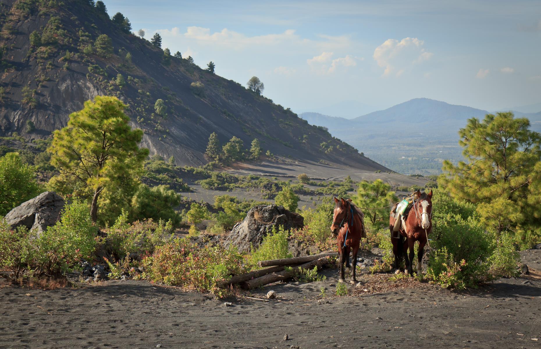 30 AMAZING things to do in Mexico that will make your trip a fiesta