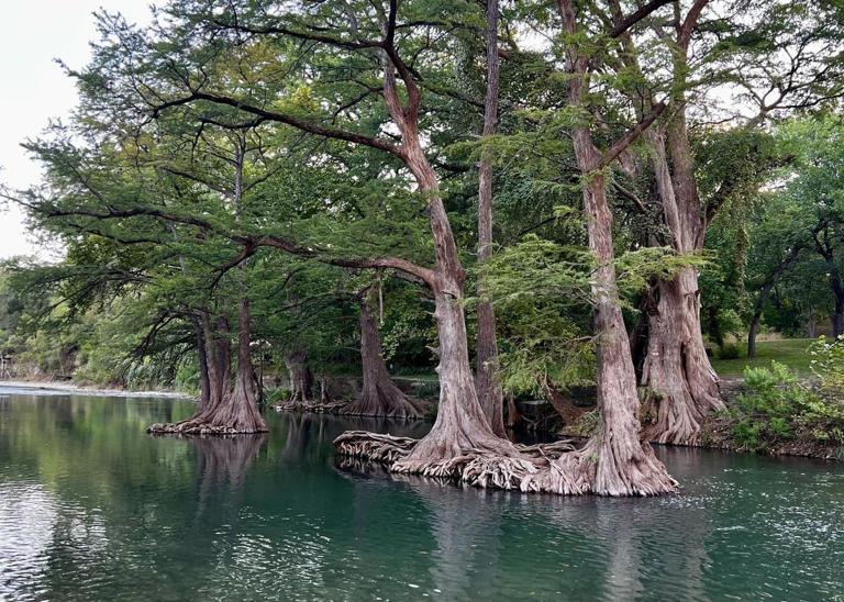 Welcome, adventurers, to the serene banks of the Guadalupe River! Part of the breathtaking Texas Hill Country, New Braunfels beckons with its charm and endless opportunities for outdoor escapades including float trips. Whether you’re a seasoned camper or a novice […]