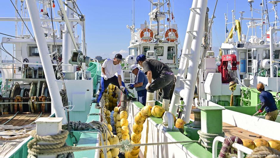 核電站廢水排海讓福島的漁業再次受到打擊