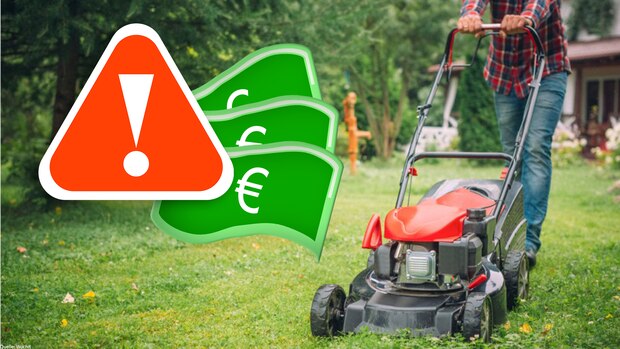 Bußgeld bis zu 50.000 Euro droht Wann Sie Ihren Rasen besser nicht