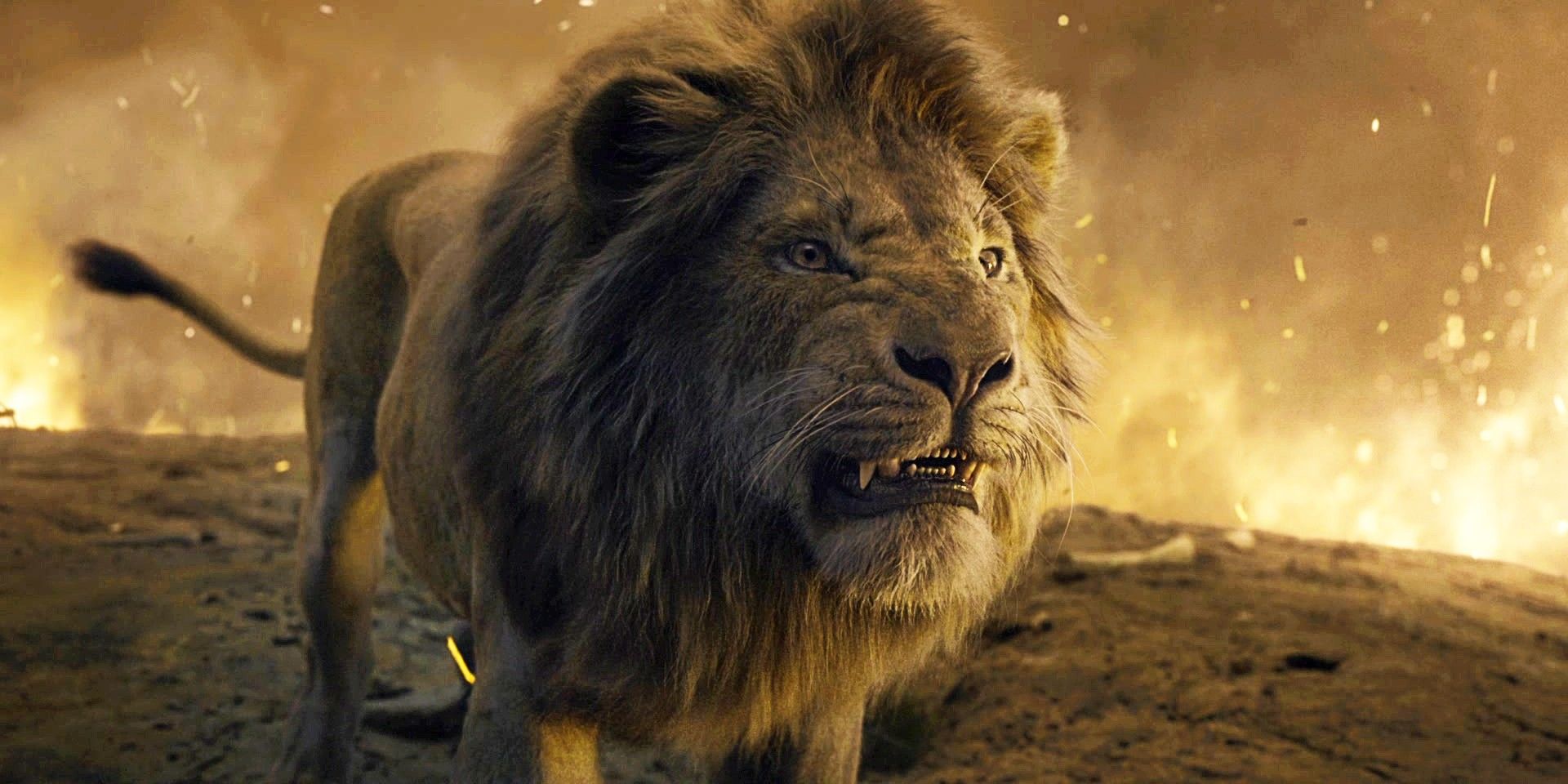 Lion King 2019 S Simba Vs Scar Fight Assessed For Realism By Cat Expert   AA1fXWmK.img