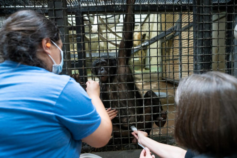 The best zoos and aquariums in Ohio, according to visitors