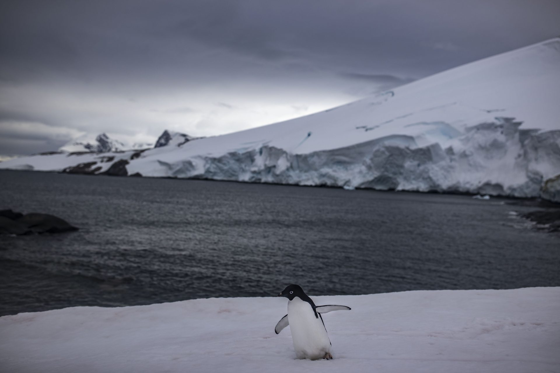 Scientists discovered a massive hidden river in Antarctica