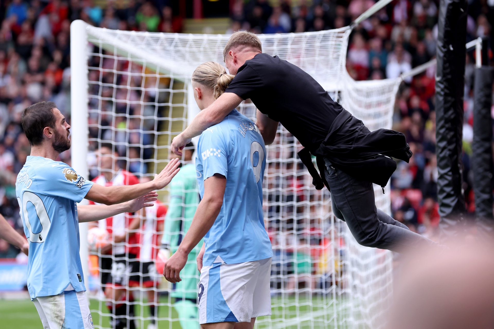 Holland injury