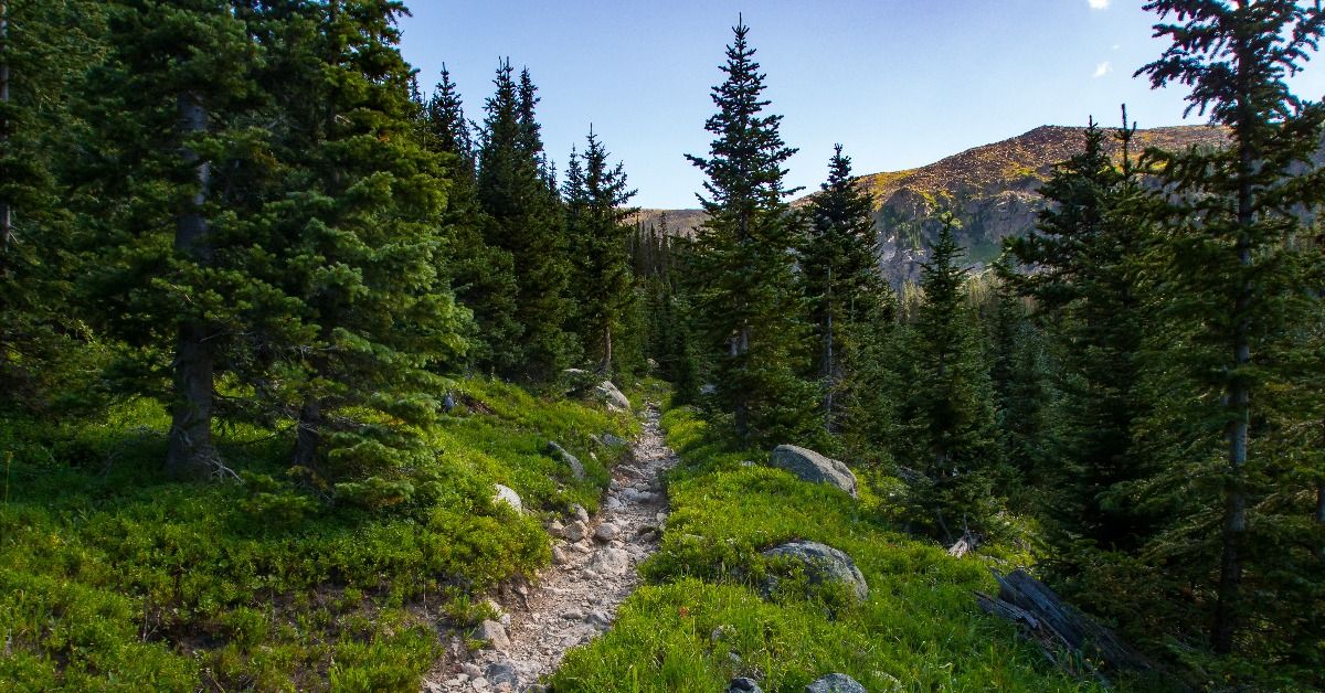 <p>  Colorado is another state that has an abundance of free campsites. An area along the southern Rocky Mountains, known as the Front Range, has some solid spots including    Gordon Gulch. </p><p>This spot has 15 designated sites and campers are welcome to stay for up to two weeks. </p>