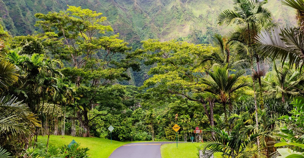<p>  There’s no shortage of gorgeous scenery to see on the islands of Hawaii, but    Ho’omaluhia Botanical Garden   on Oahu offers visitors the unique opportunity to see plant life from all over the world. </p><p>The city-run campsite is a quiet option and camping is available for free Mondays through Fridays, but you will need to make a reservation. </p>