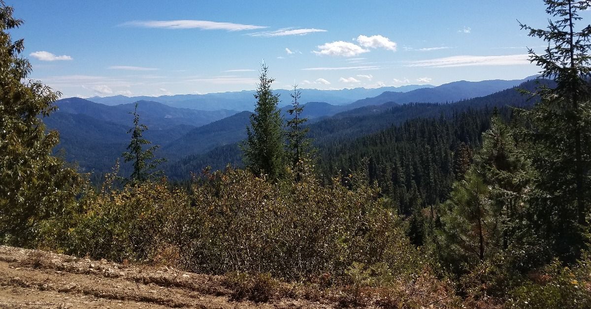 <p>  There is <em>a lot </em>of free camping to choose from in Oregon. In the southern part of the state, the Mount Ashland Campground in    Klamath National Forest offers stunning views and allows campers to enjoy true serenity when staying along the Siskiyou Crest. </p>