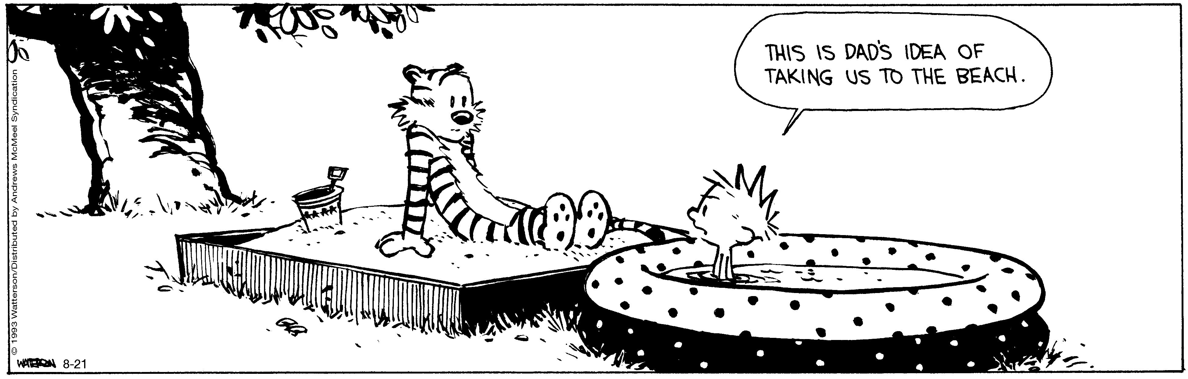 Calvin And Hobbes By Bill Watterson 6105
