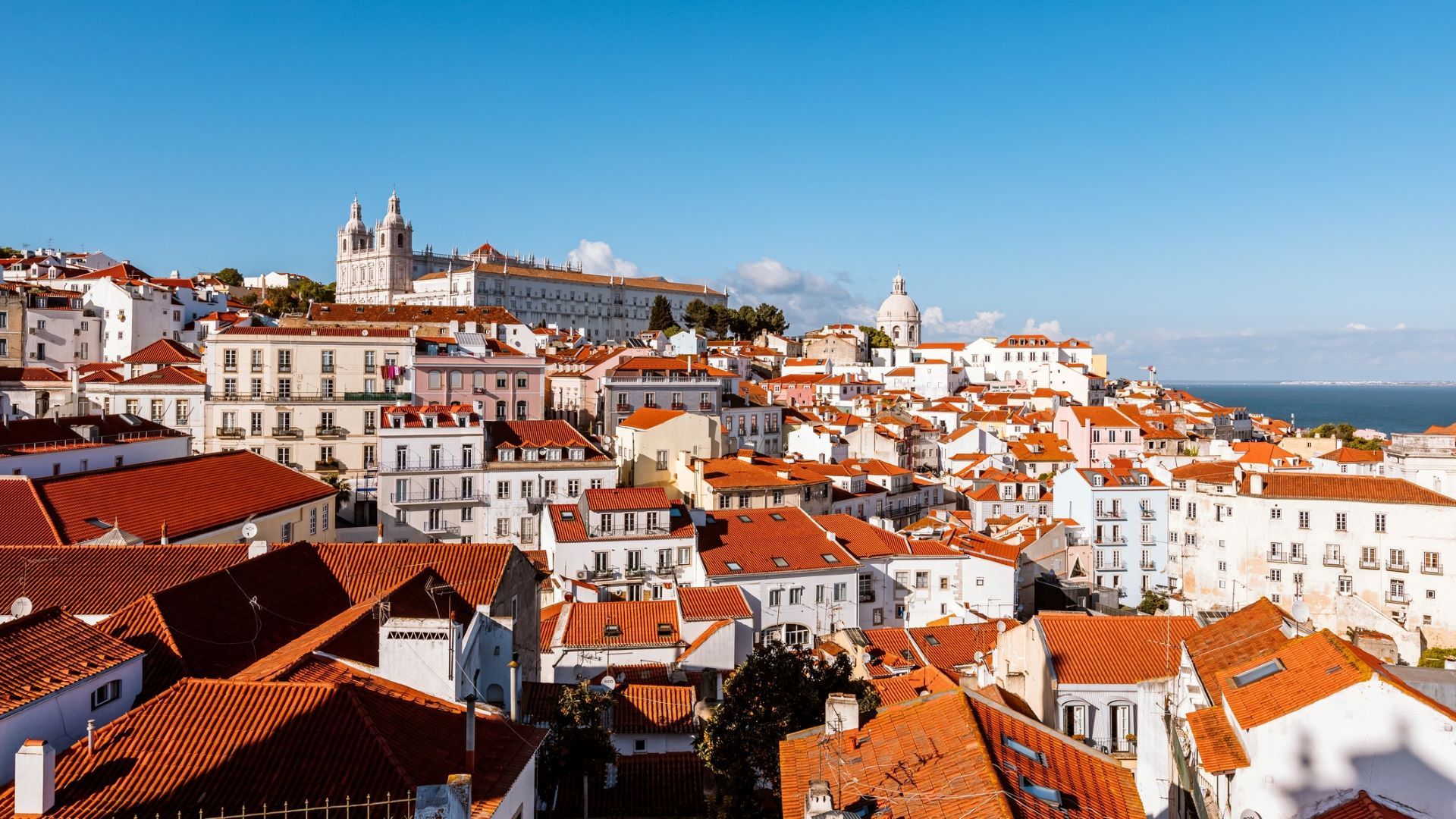 <p>                     If you want to visit Europe for the architecture, but want to get some sun in too, then Lisbon might be the city for you and your pet. The people of Lisbon love dogs, so you can guarantee your furry friend will get lots of pets as you explore the pastel-colored buildings and historic castle.                   </p>