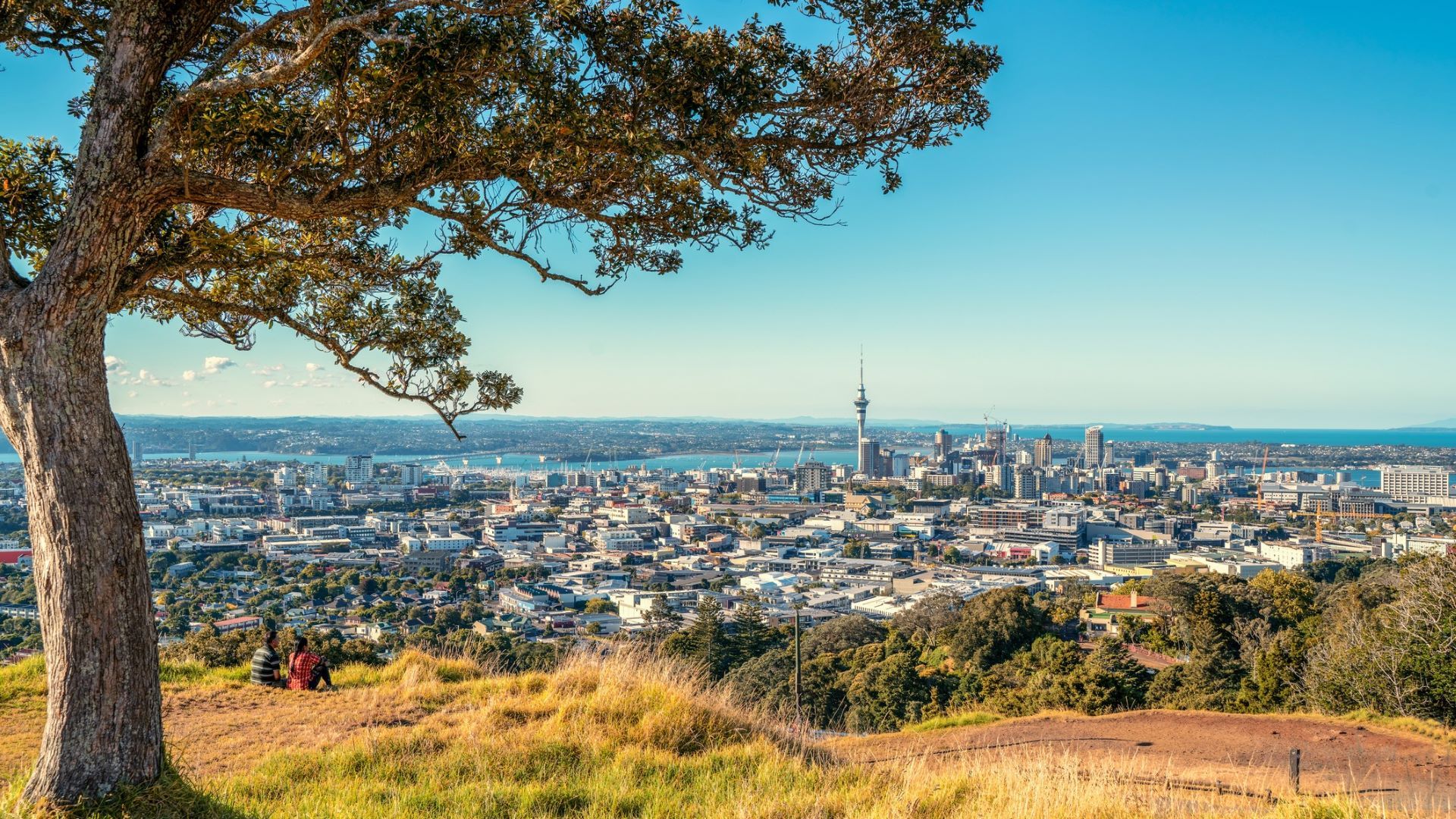 <p>                     Auckland in New Zealand is a great place to visit with your pet, with plenty of pet friendly beaches, accommodation and plenty to do. Mellons Bay, Takapuna beach, and Piha beach are the most popular dog beaches, but if your pet is less sociable, you can find quieter places to go too.                    </p>