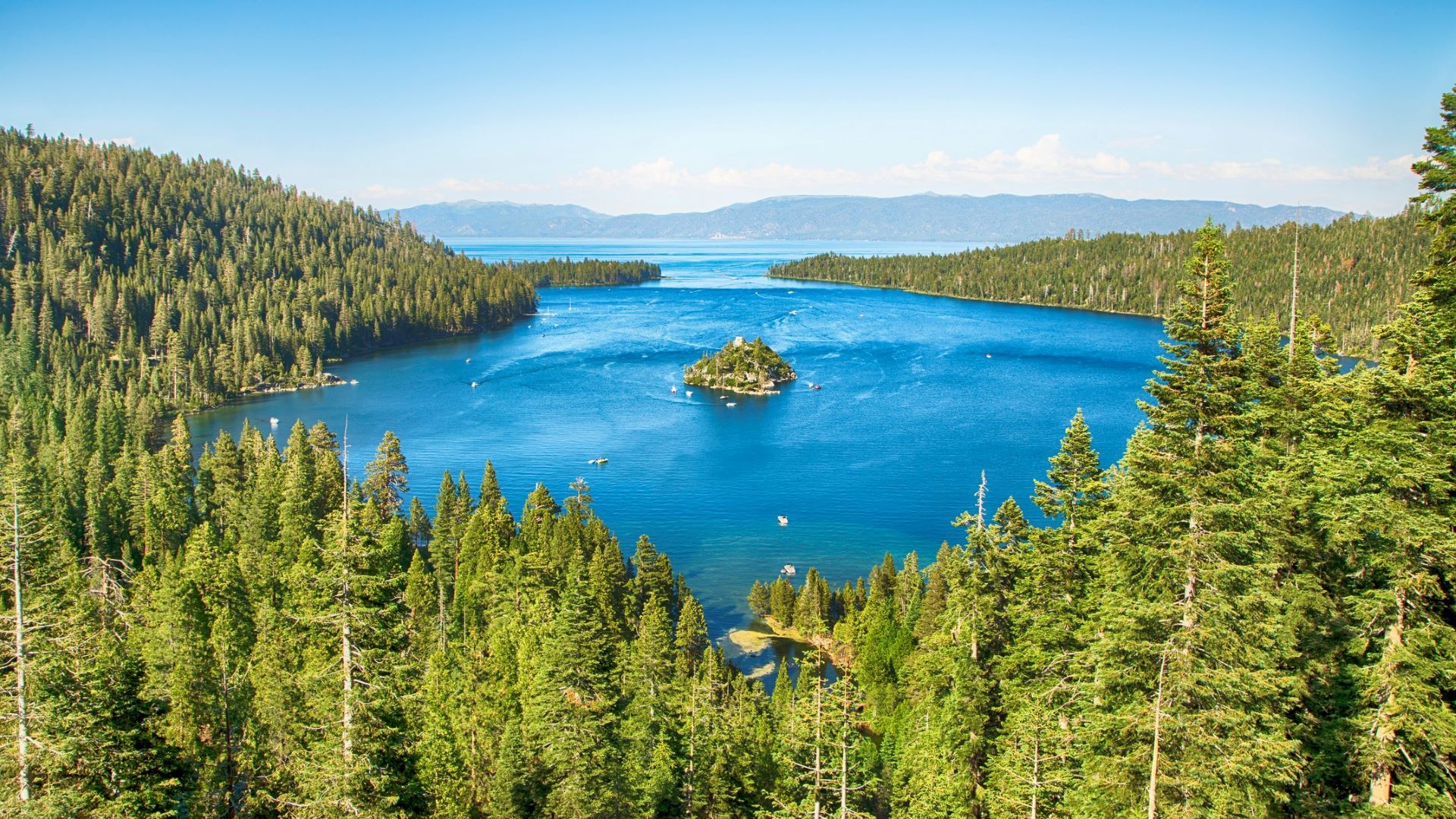 <p>                     If you and your pet are fans of hiking, Lake Tahoe is a great place to spend your vacation. It combines fantastic beaches with beautiful mountain hikes, giving you the best of both worlds.                    </p>