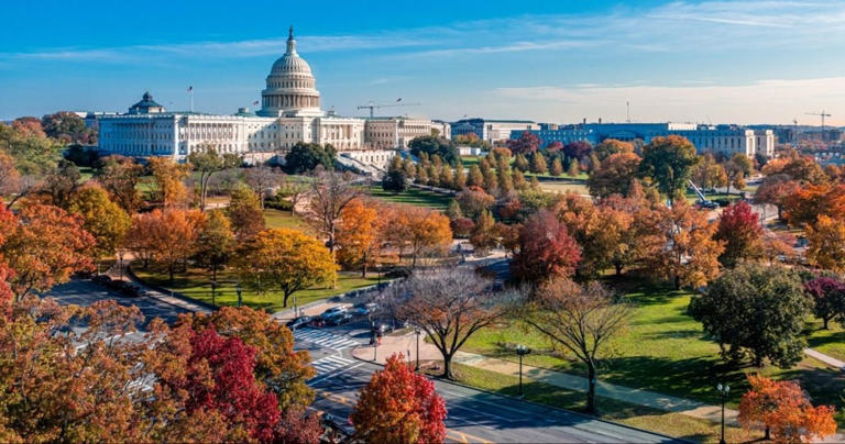 10 Budget-Friendly Ways To Experience Washington DC