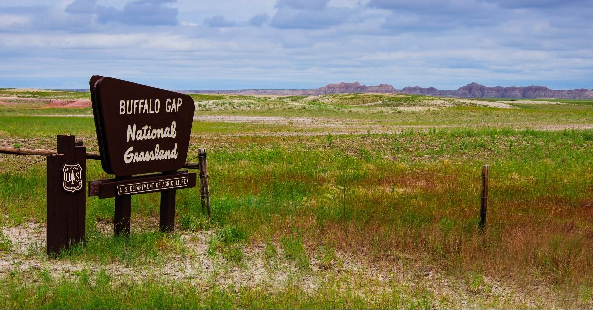<p>  Offering vast open space with incredible views, the campsite in the    Buffalo Gap National Grassland is especially magical after dark to see the vastness of the big night sky. </p><p>The camp is open to all sorts of travelers, so you can bring your car, tent, RV, and your pets. </p>