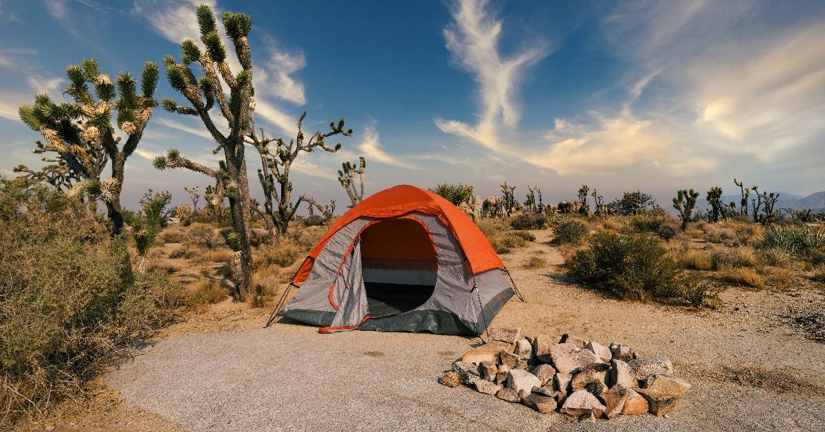 <p>  In a huge state like California, there are tons of options for free camping. One great choice is    Joshua Tree South Dispersed Camping   in Chiriaco Summit. </p><p>Rave reviews point out the proximity to Joshua Tree National Park, the ability to camp in an RV, car, tent, or whatever your heart desires, and space to spread out.</p>