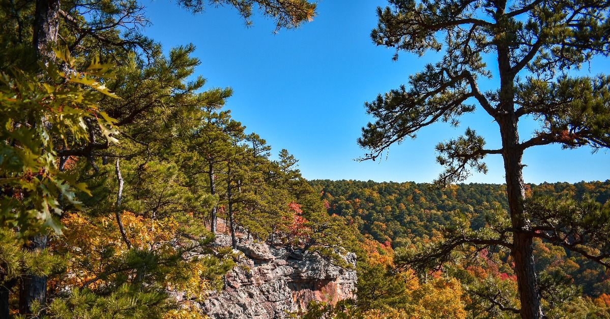 <p>   Sam’s Throne Recreation Area   in Ozark National Forest is popular among campers, hikers, photographers, and nature enthusiasts alike. </p><p>There’s no fee to stay in the Newton County campground, but previous visitors have warned that those with large RVs may struggle to make their way toward the campsites on small, winding roads. </p>