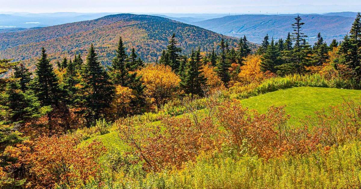 <p>   Mount Washington State Forest   offers visitors some beautiful hiking and camping opportunities with over 30 miles of trails. There are several free tent sites, but wilderness camping is not currently permitted. </p><p class="">  <p class=""><a href="https://financebuzz.com/top-signs-of-financial-fitness?utm_source=msn&utm_medium=feed&synd_slide=22&synd_postid=13194&synd_backlink_title=5+Signs+You%E2%80%99re+Doing+Better+Financially+Than+the+Average+American&synd_backlink_position=10&synd_slug=top-signs-of-financial-fitness-2">5 Signs You’re Doing Better Financially Than the Average American</a></p>  </p>