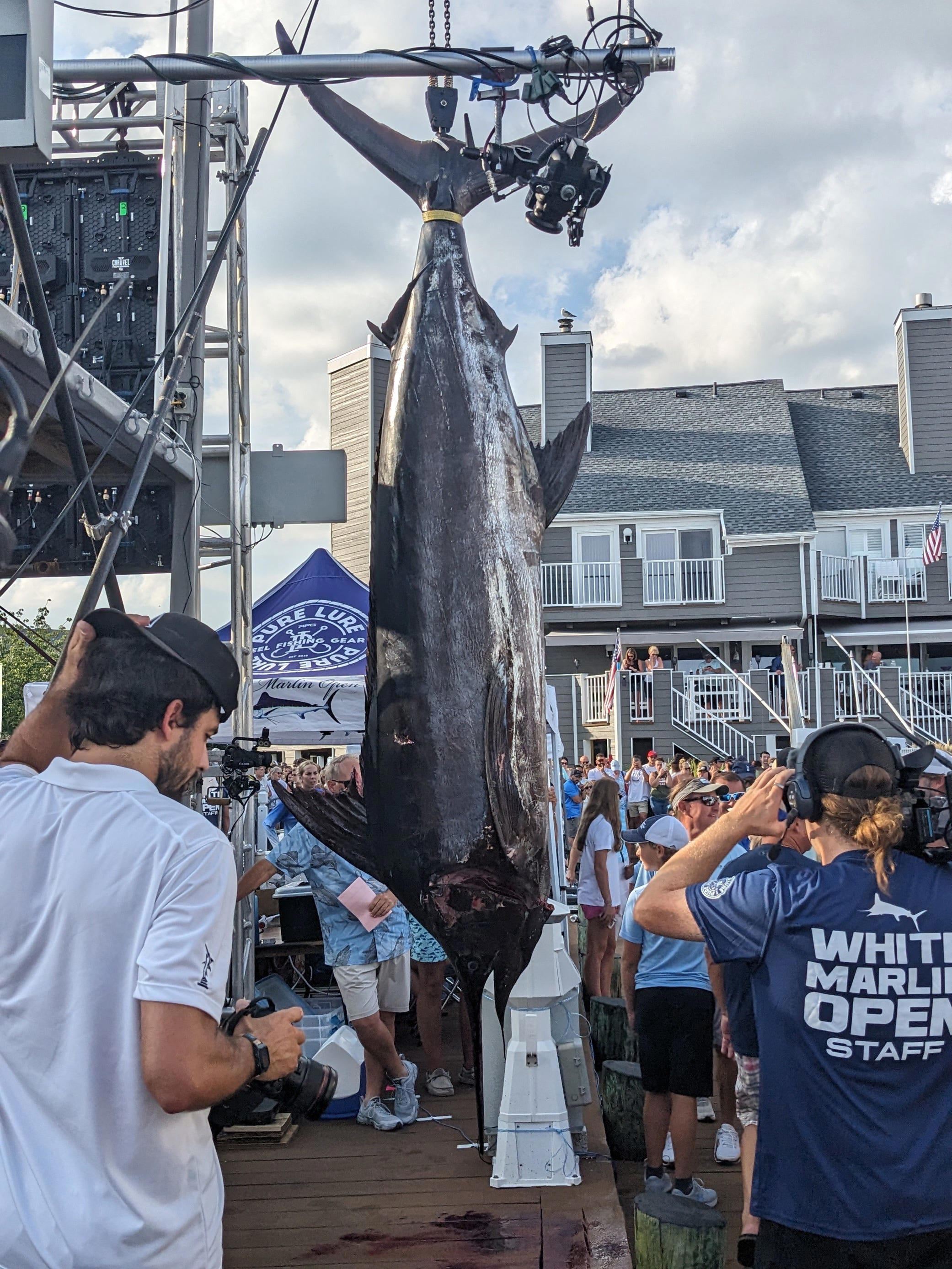 White Marlin Open 2023 All the big winners as exciting final day wraps