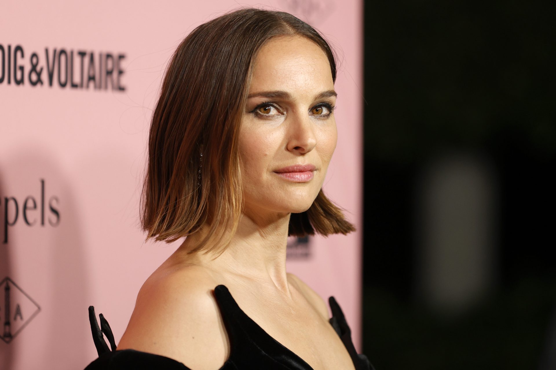 Celebrities with the highest known IQ