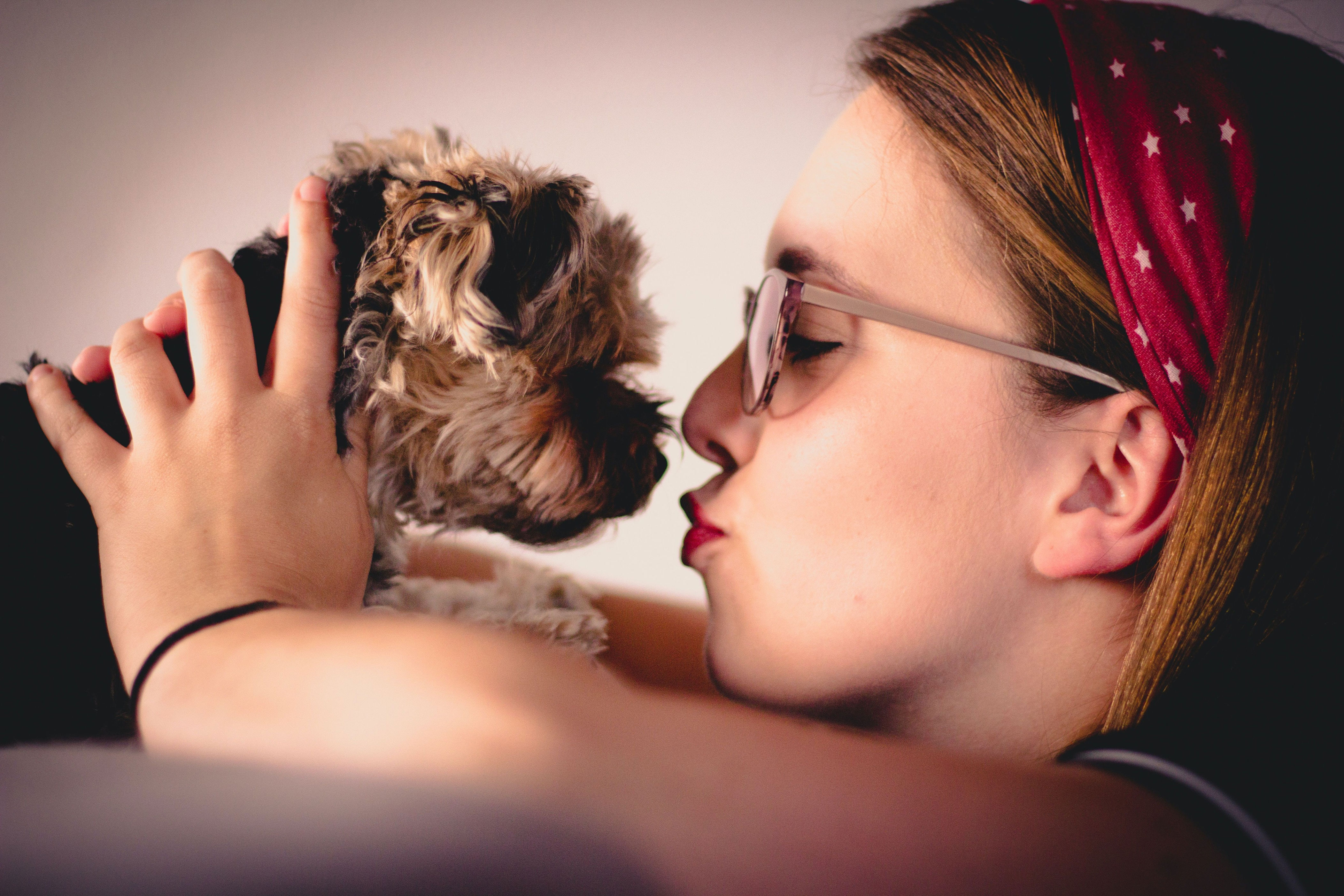 Женщина любит животных. Целовать домашних животных. Девушка целует собаку. Французский поцелуй с собакой. Заставки собаки целуются.