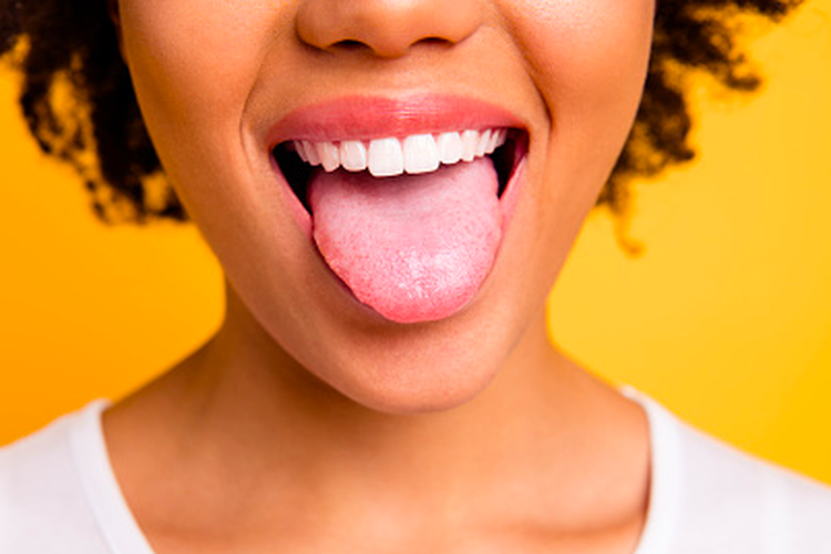 apakah lidah termasuk otot?