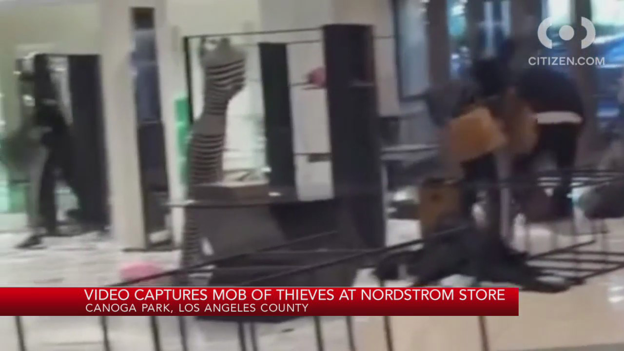 Video captures mob of thieves hit Nordstrom in LA