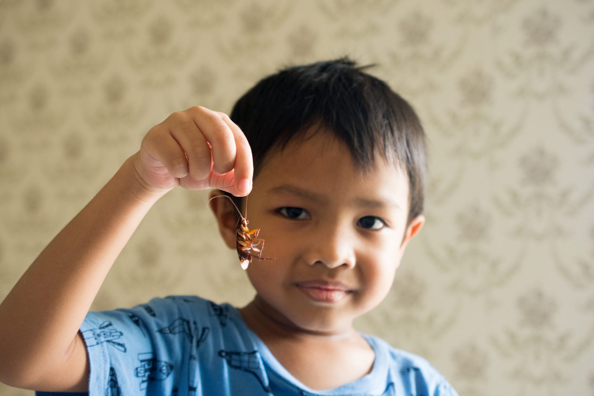 Don't step on that roach! It can be a hazard to your health