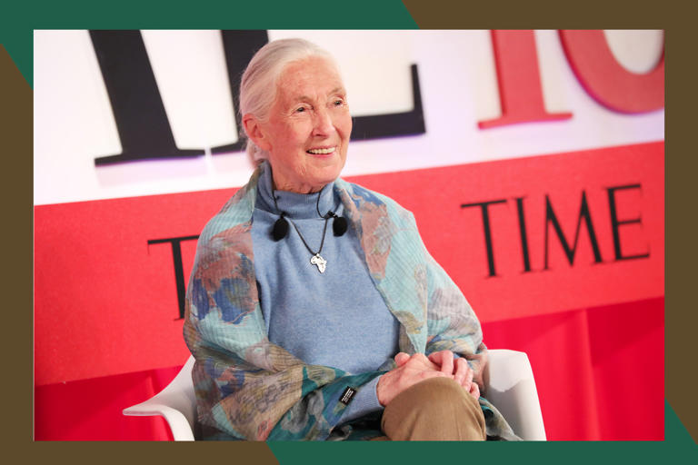 Jane Goodall is going on a speaking tour. Here’s how to get tickets today