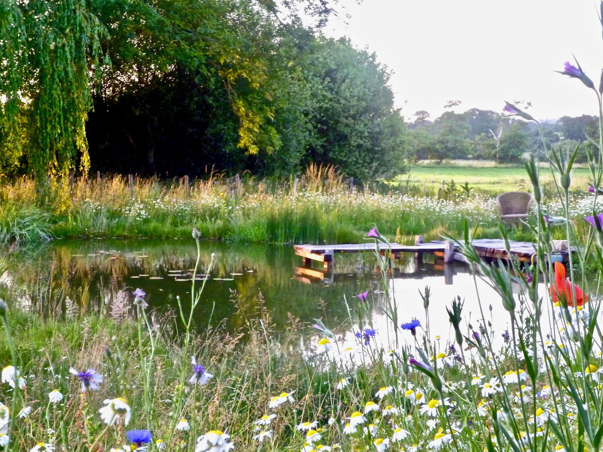 <p>                     Do your bit for wildlife gardens and create your new go-to spot, by building a pond. A magnet for birds, insects and mammals too, it’s amazing how quickly it will transform a featureless plot.                   </p>                                      <p>                     Designer Claudia de Yong has worked on a few ponds in her time and shares the following tips. 'The minute you introduce a water feature into a garden, whatever size, whatever style, you are immediately creating other dimensions. Water gently flowing over rocks and stone creates a soft, calming sound. Reflections of tree, plants and even buildings will as depth to your garden.'                   </p>                                      <p>                     Make the most of the site, by going for the biggest garden ponds you can – they always look smaller once they are full and planting has established. Native wildflowers and grasses will soften the edges and provide cover for wildlife, while a simple timber jetty is the perfect place to sit and gaze from.                   </p>