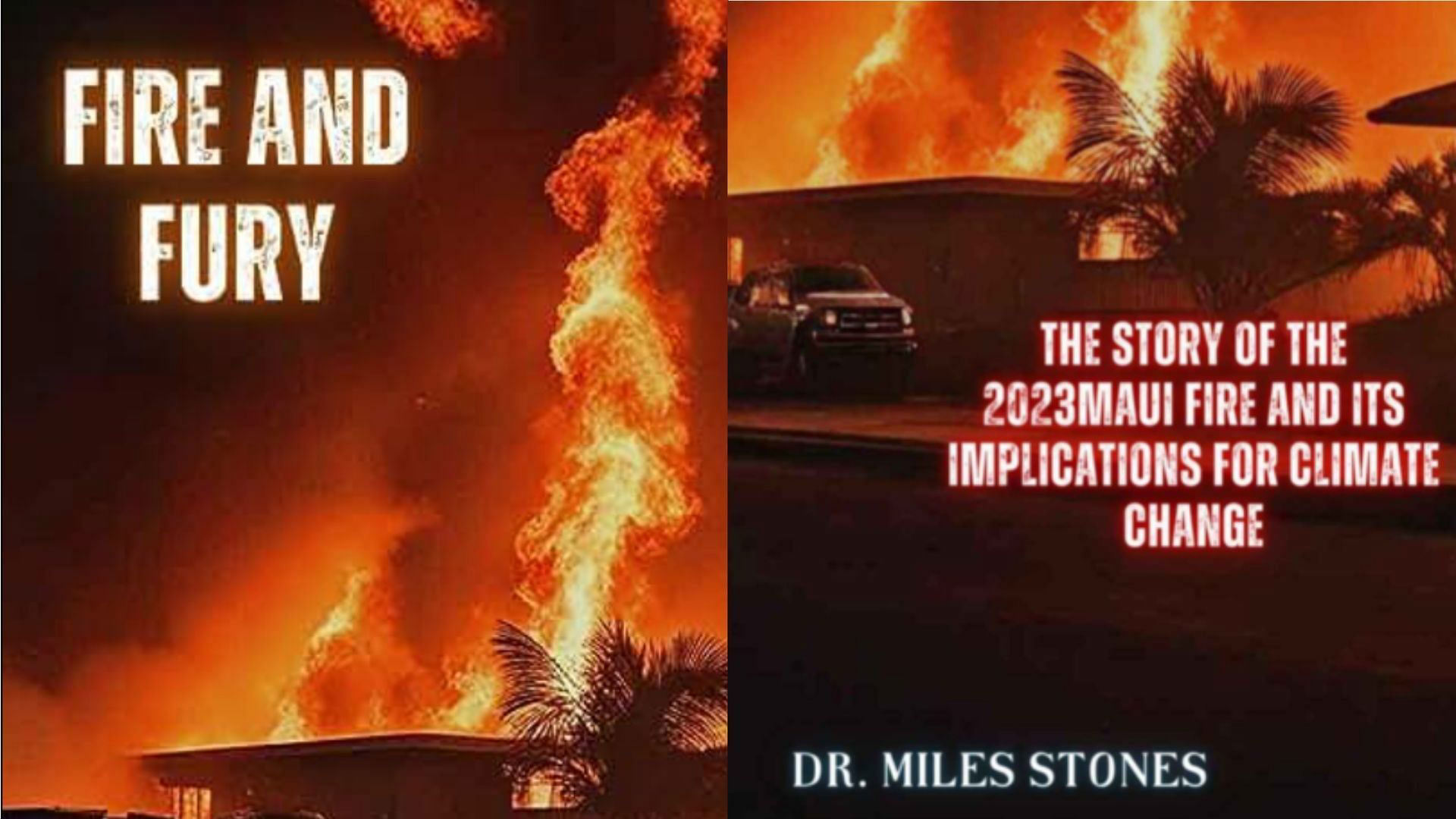"Almost like they had a written script" Dr. Miles Stones' Fire and