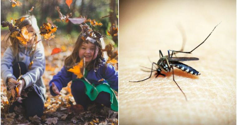 6 ways to Safeguard Children from Mosquitoes during Outdoor adventures