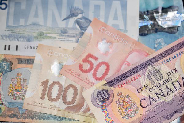 The Bank Of Canada Might Have Money For You & You Can Check Online - Narcity