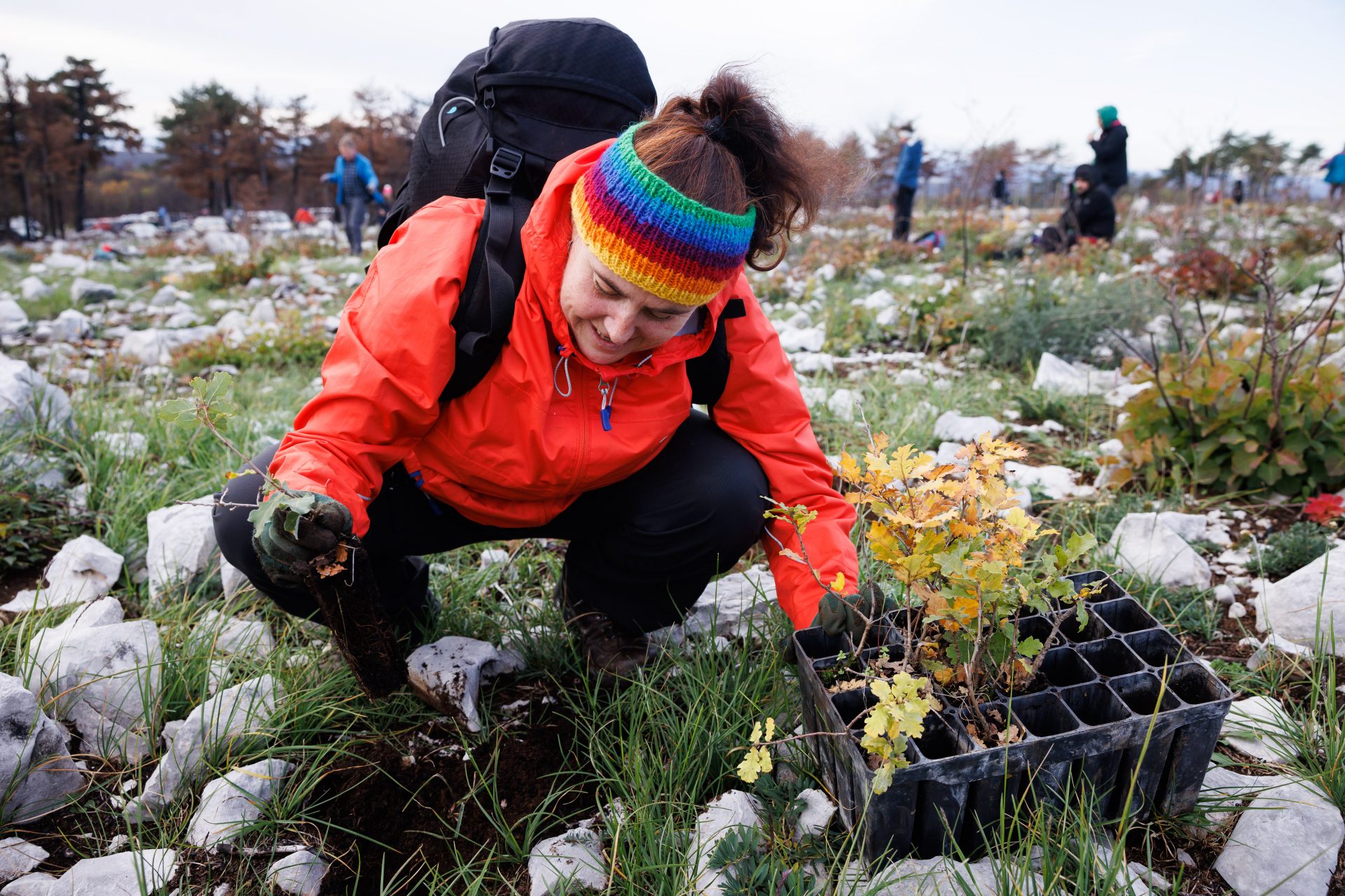 Was ist antispeziesistischer Ökofeminismus?