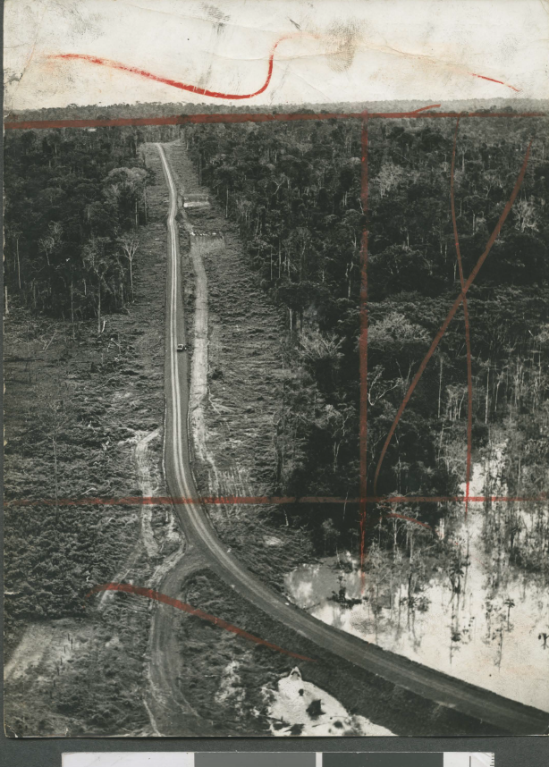 A ideia do governo brasileiro seria abrir caminho em meio a imensid&atilde;o verde para incentivar o crescimento da regi&atilde;o. A rodovia passaria por sete estados e cruzaria 63 cidades.