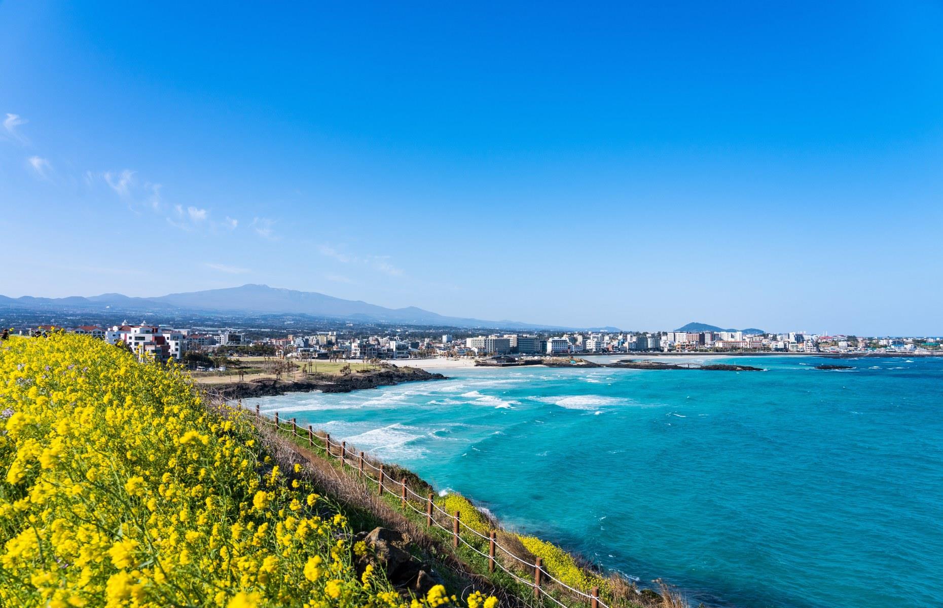 <p>Take a stroll along Hamdeok Beach and see for yourself why it's one of Jeju Island’s best-loved beauty spots. With its blend of pure-white sand, jet-black rock and emerald-blue sea, it’s a dreamy place to spend an afternoon. Go paddling in a rock pool, wander out along a sandbar or hike up the small hillside of terraced fields. Keen for even better views? You can also go paragliding here.</p>