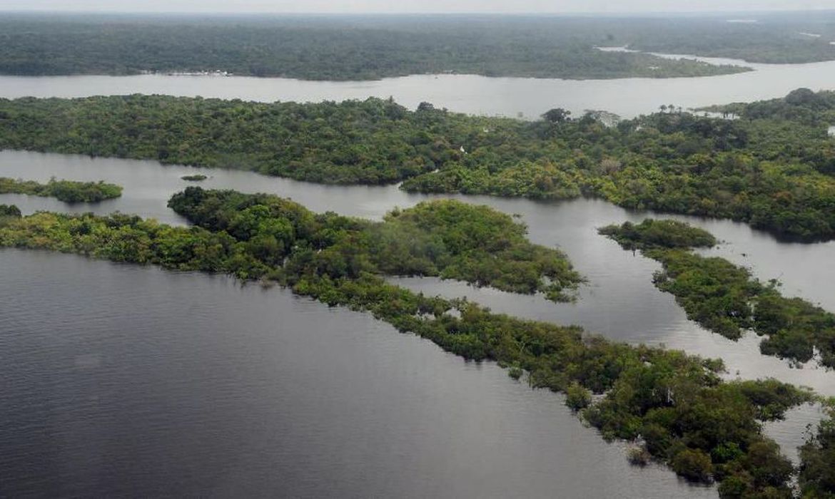 O Brasil &eacute; riqu&iacute;ssimo em recursos naturais e tem em seu territ&oacute;rio o "pulm&atilde;o do mundo", com a Floresta Amaz&ocirc;nica, mas o pa&iacute;s sofre com o desmatamento ilegal e o garimpo.
