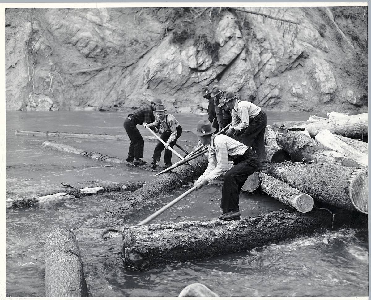 <p>These loggers are walking on a pile of logs that float in the middle of a river. This log jam on Minnesota's Littlefork River is being used to build a loading boom. At the time, booms were used to collect floating logs that have fallen into a body of water due to timbering in the neighboring forests. </p> <p>By 1900, timber in the Midwest was dwindling, so loggers took to the Pacific Northwest. It wasn't long before resources became scarce but forests continued to get logged at a growing rate. </p>