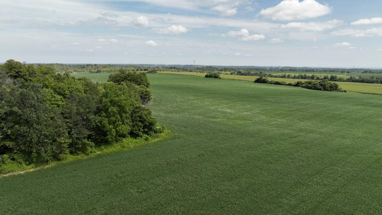 Energy products being considered on prime agricultural land will now require an impact assessment before proceeding. (Patrick Morrell/CBC News)