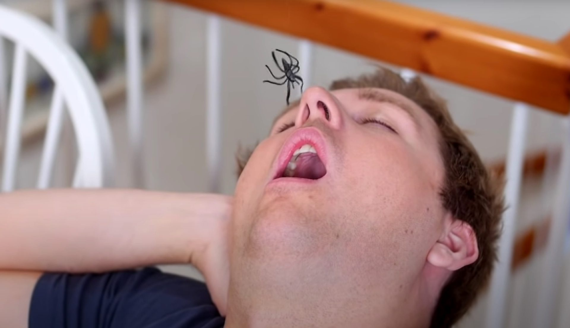 Do you really swallow a bunch of spiders when you sleep?
