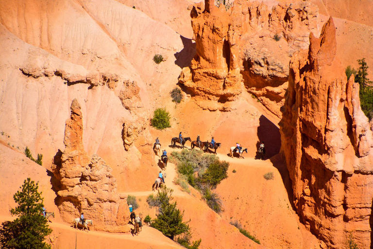 The world's best destinations to explore on horseback