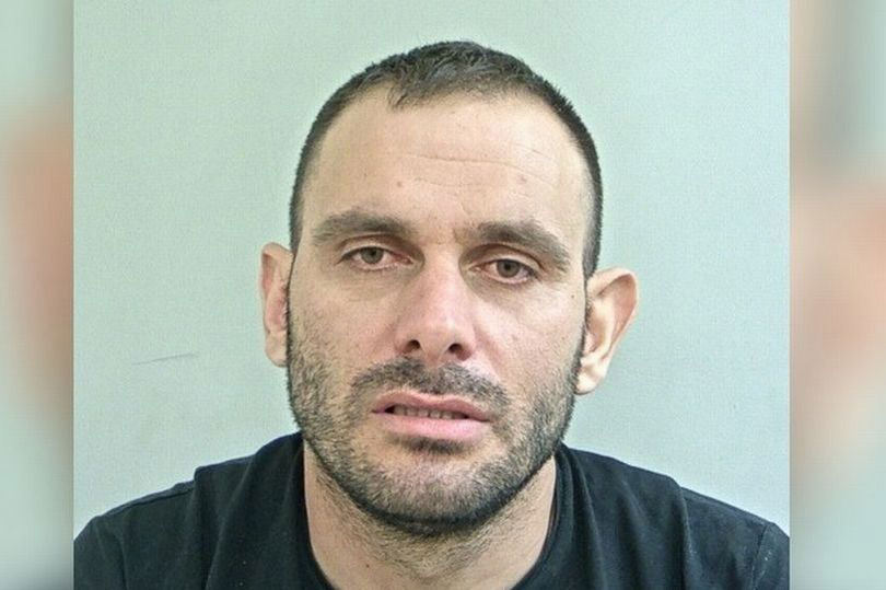 ‘naive Drugs Courier Caught With £50k Of Cannabis After Running Across Six Lanes Of M6 Traffic 