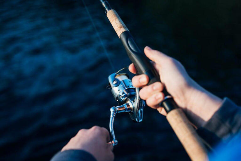 What You Need To Know To Start Fishing