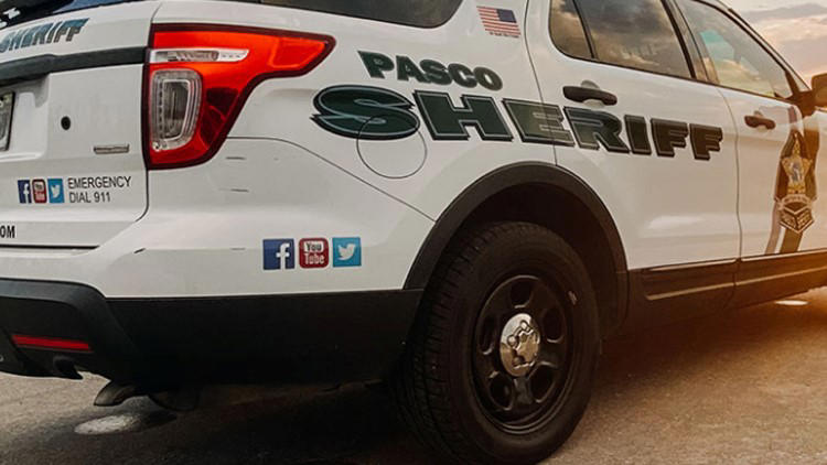 Pasco County deputies find apparent human remains in New Port Richey