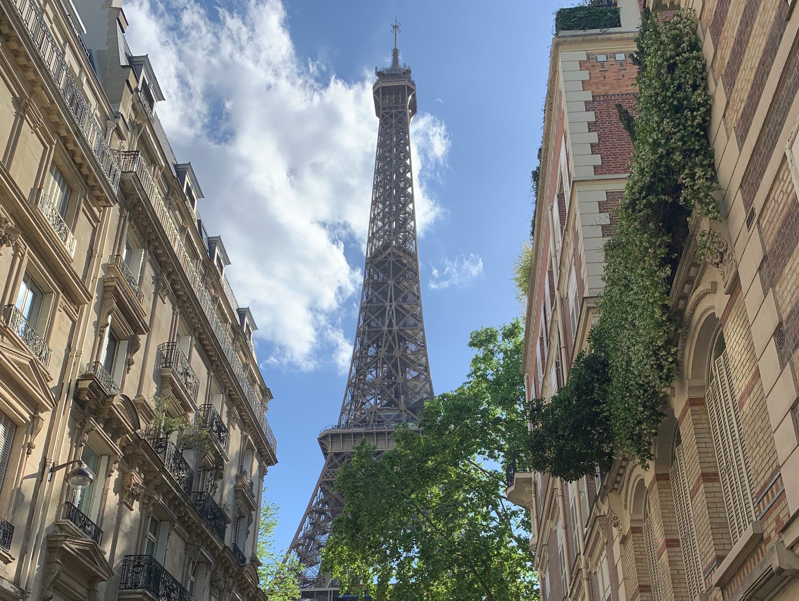 <p>When I first visited <a href="https://www.insider.com/le-royal-monceau-raffles-paris-palace-luxury-hotel-review-2023-7">Paris</a> last summer, I, like many travelers, knew I would need to see the Eiffel Tower.</p><p>Unconvinced that the view from the top would really be that remarkable, I had no real interest in paying to go to the top. Instead, I packed a light dinner from a local grocery store and took it to a free park facing the monument.</p><p>The surrounding area was flush with other tourists and vendors selling little trinkets or water bottles, but the space was big enough to spread out and didn't feel too crowded. </p><p>I was happy to sit on the grass, eat dinner, and people-watch, and I would do it again the next time I visit. </p>