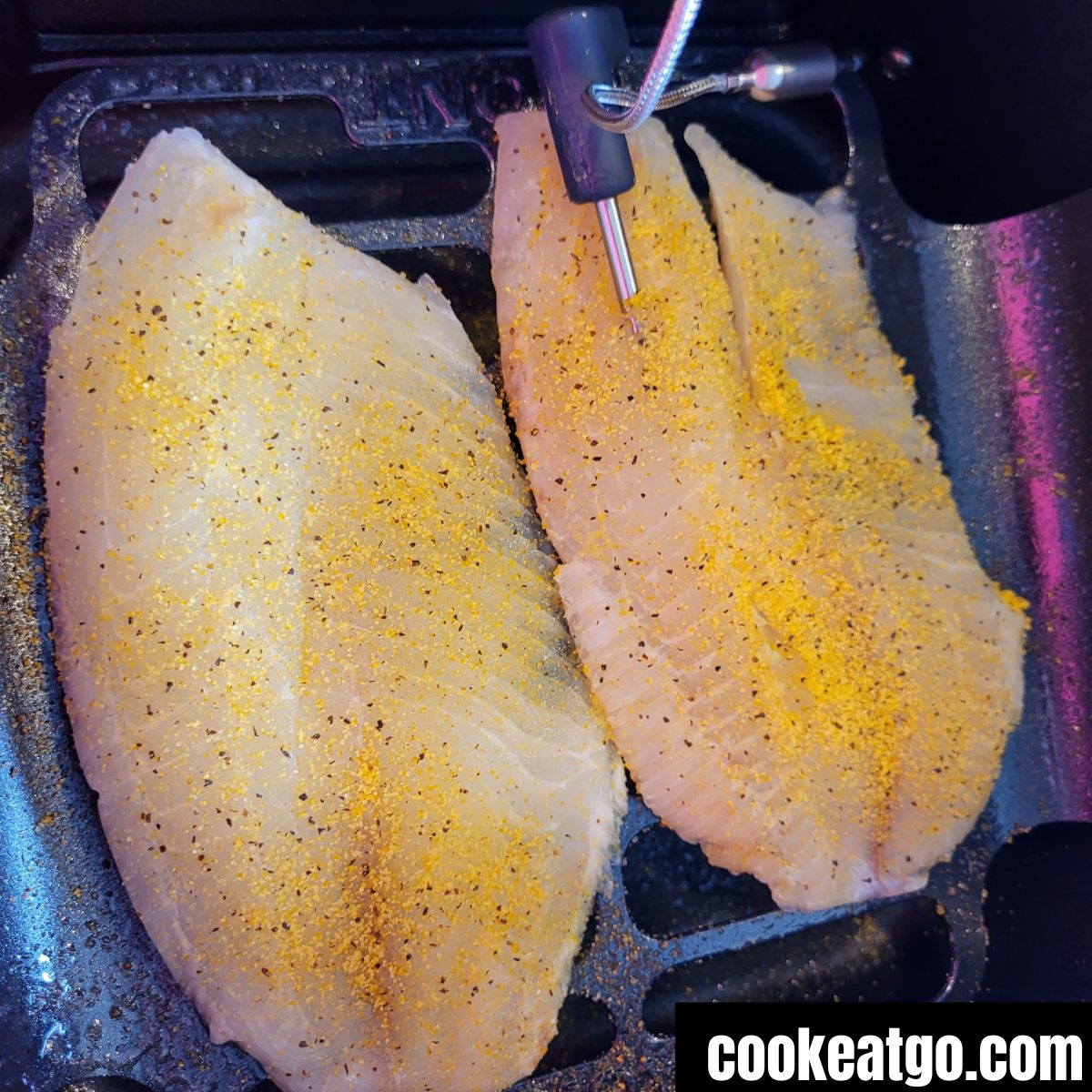 AA1fwaup Lemon pepper air fryer tilapia!