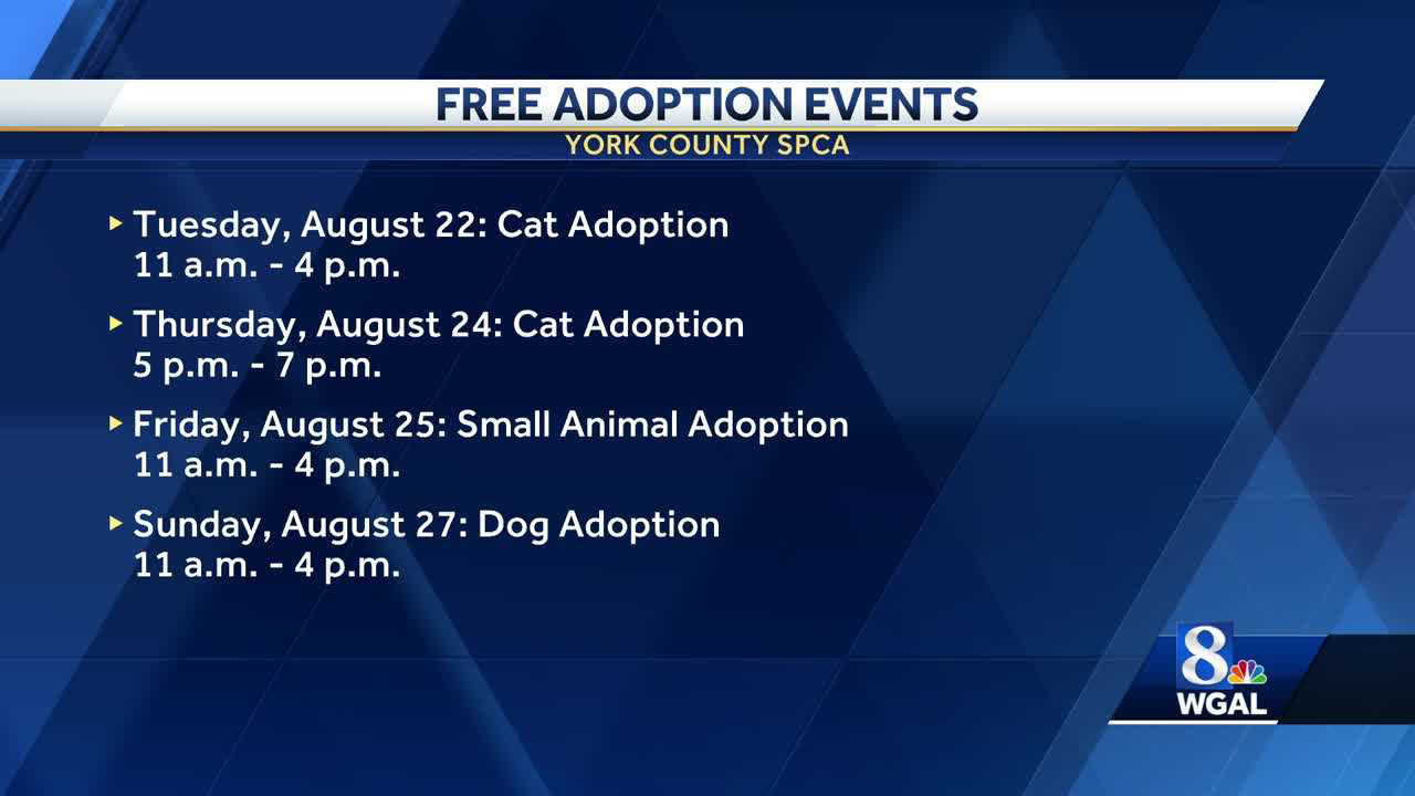 SPCA free adoption events for 'National Clear the Shelters'