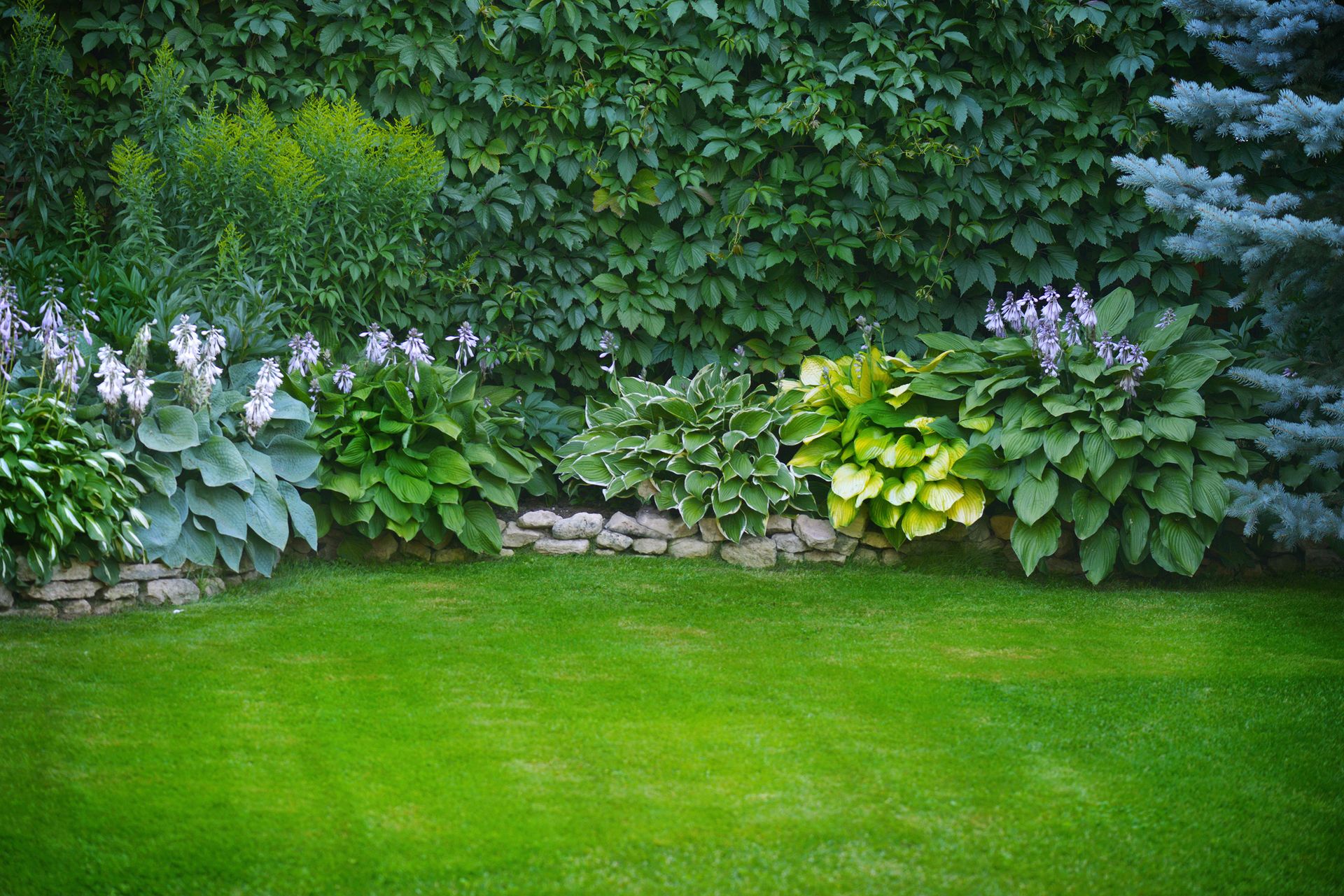 Lawn edging ideas: 13 ways to border your grass, from sleek paving to ...