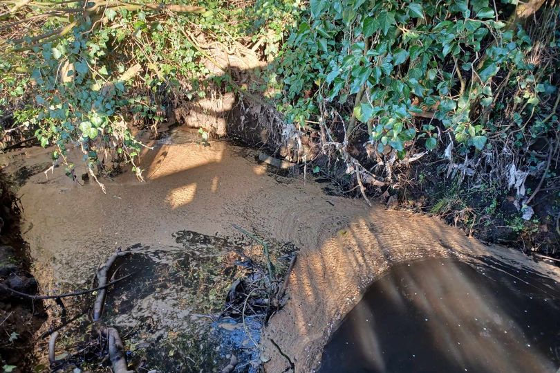 borough battling sewage problems calls on utility companies to reveal future plans